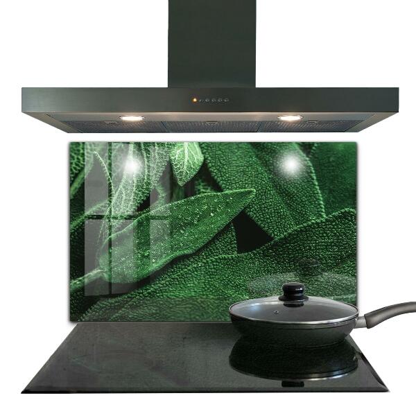 Zidna obloga za kuhinju Zeleni listi po dežju