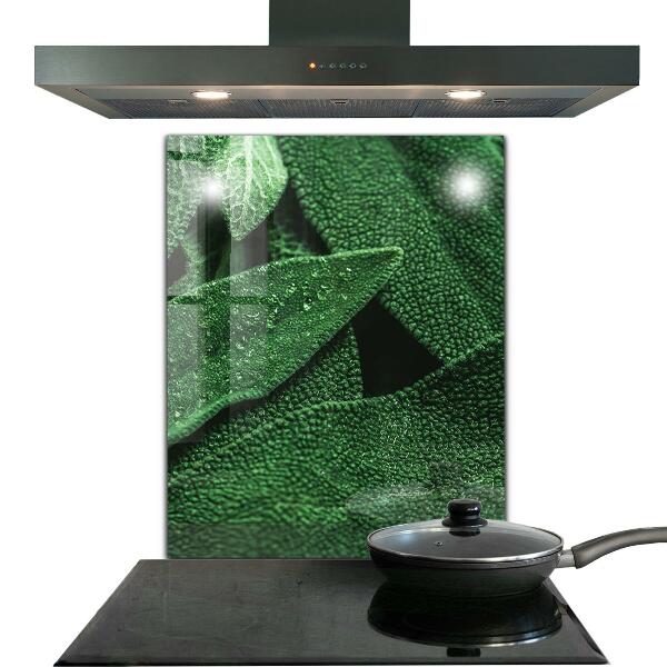 Zidna obloga za kuhinju Zeleni listi po dežju