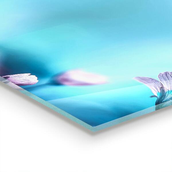 Zidna obloga za kuhinju Cvetje za jutranjo meglo