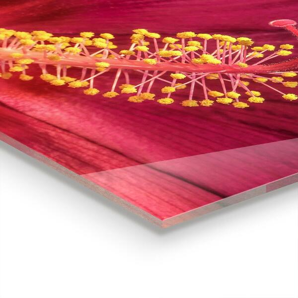 Zidna obloga za kuhinju Rožnati hibiskus