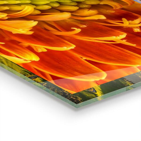 Zidna obloga za kuhinju Gerbera flower orange