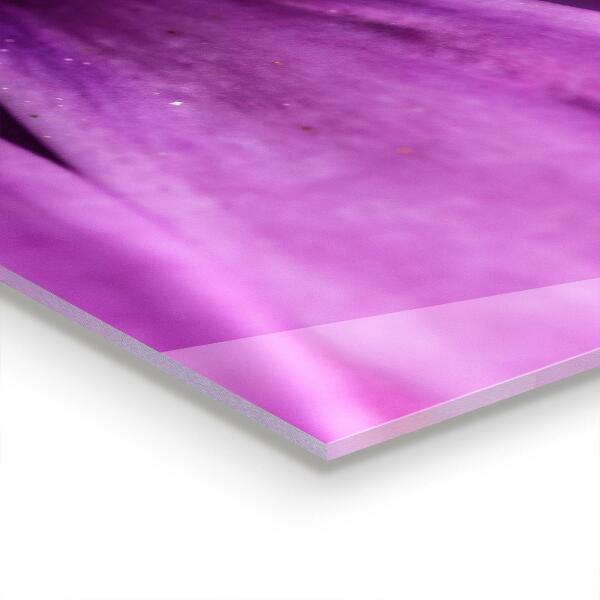 Zidna obloga za kuhinju Vijolična poletna roža