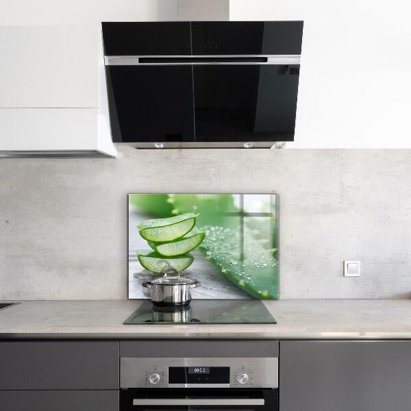 Zidna obloga za kuhinju Aloe rastlina aloe vera