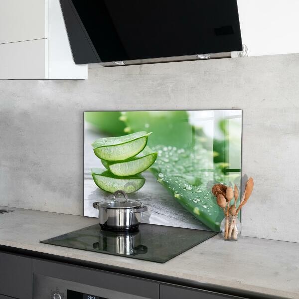 Zidna obloga za kuhinju Aloe rastlina aloe vera