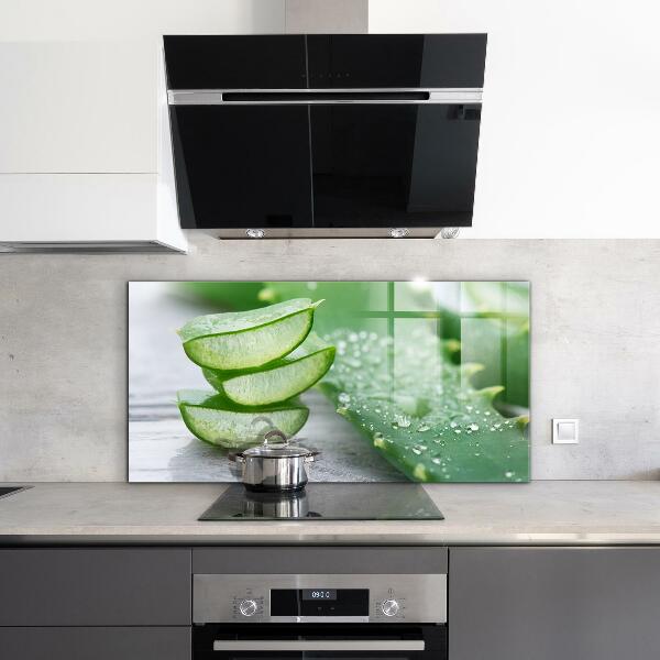 Zidna obloga za kuhinju Aloe rastlina aloe vera