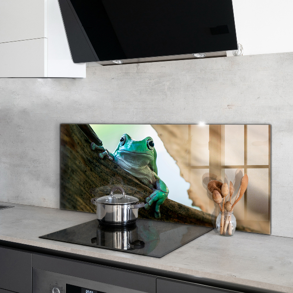 Stenska plošča za kuhinjo Radovedna žaba na listu
