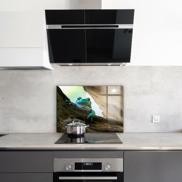 Stenska plošča za kuhinjo Radovedna žaba na listu