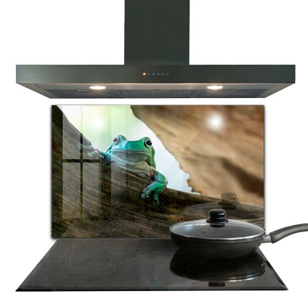 Stenska plošča za kuhinjo Radovedna žaba na listu