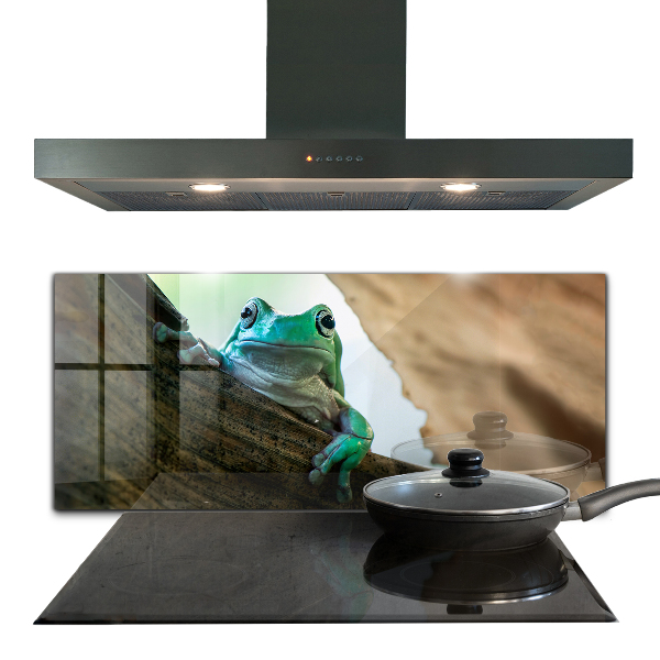 Stenska plošča za kuhinjo Radovedna žaba na listu