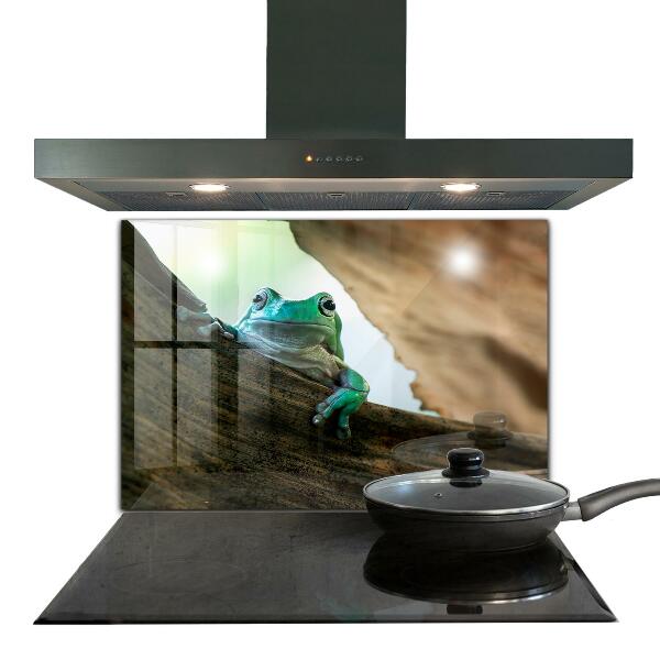 Stenska plošča za kuhinjo Radovedna žaba na listu