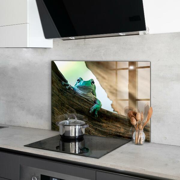 Stenska plošča za kuhinjo Radovedna žaba na listu