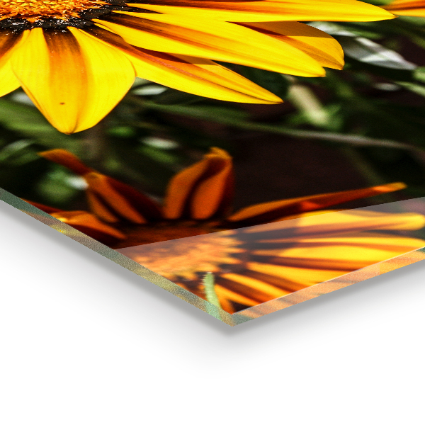 Zidna obloga za kuhinju Rumena roža na travniku