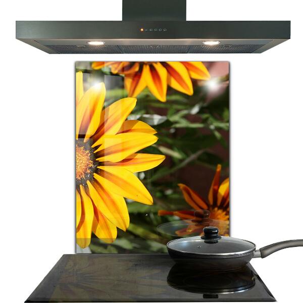 Zidna obloga za kuhinju Rumena roža na travniku