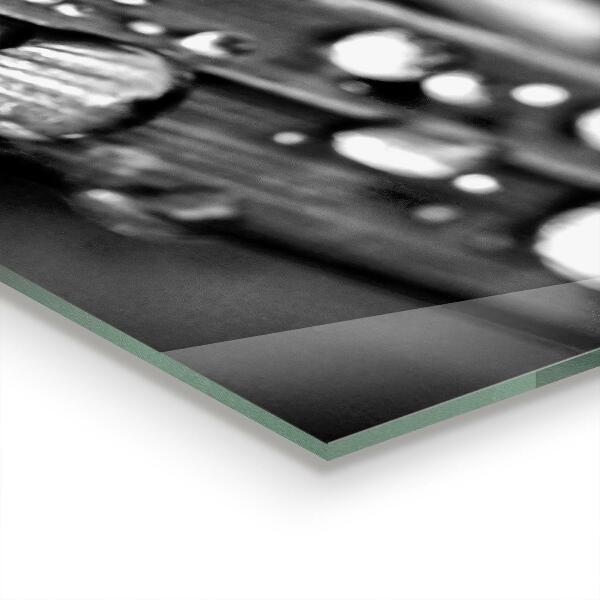 Zidna obloga za kuhinju Leaf rosa črno-bela