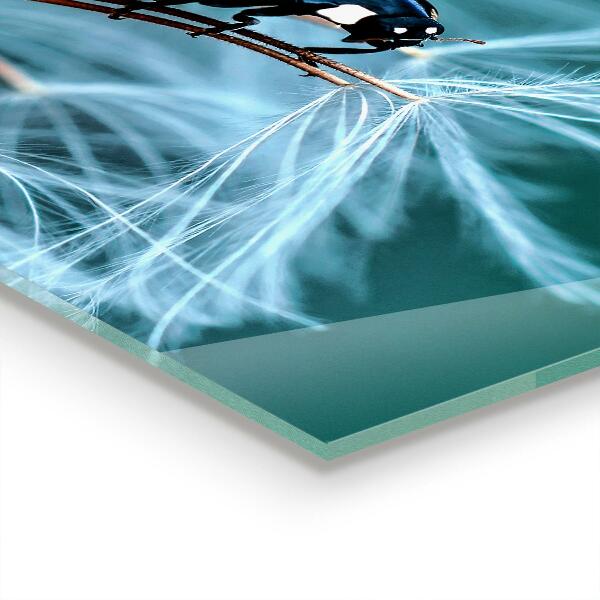 Stenska plošča za kuhinjo Pikapolonica rdeči hrošč