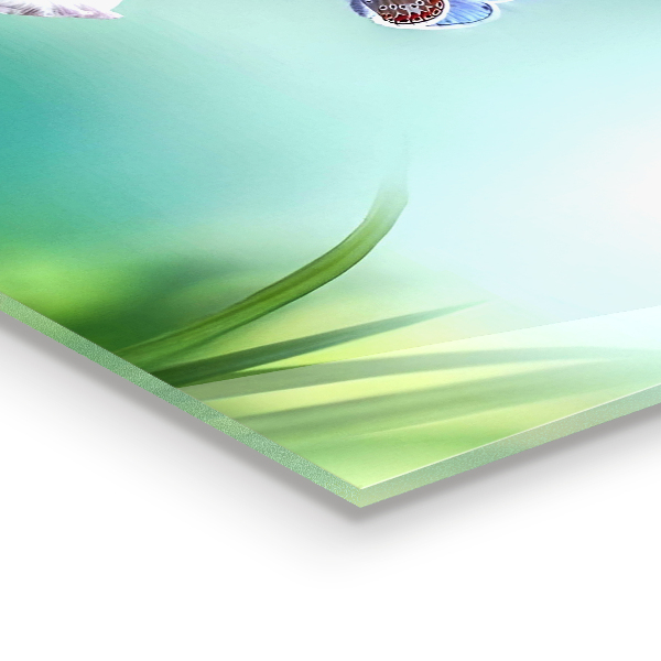 Stenska plošča za kuhinjo Poletna travniška roža metulja