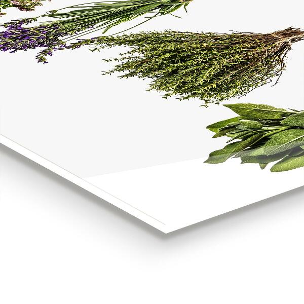 Zidna obloga za kuhinju Posušena zelišča moč narave