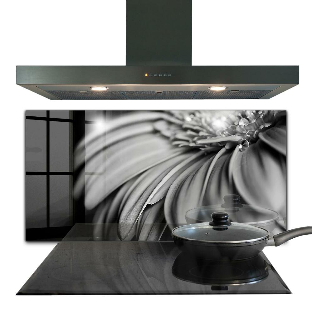 Stenska plošča za kuhinjo Črno-bela fotografija gerber