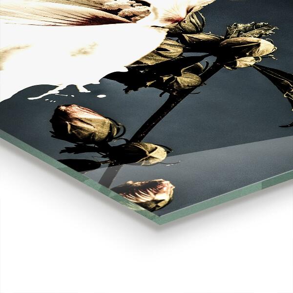 Stenska plošča za kuhinjo Abstraktna bela roža