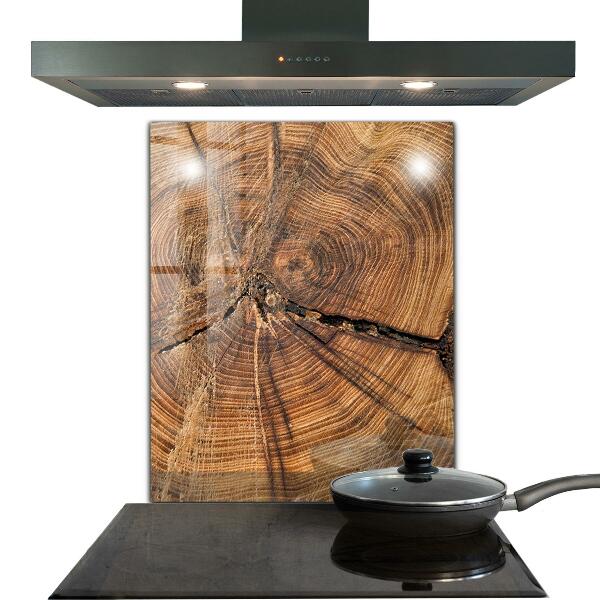 Stenska plošča za kuhinjo Tekstura trupa