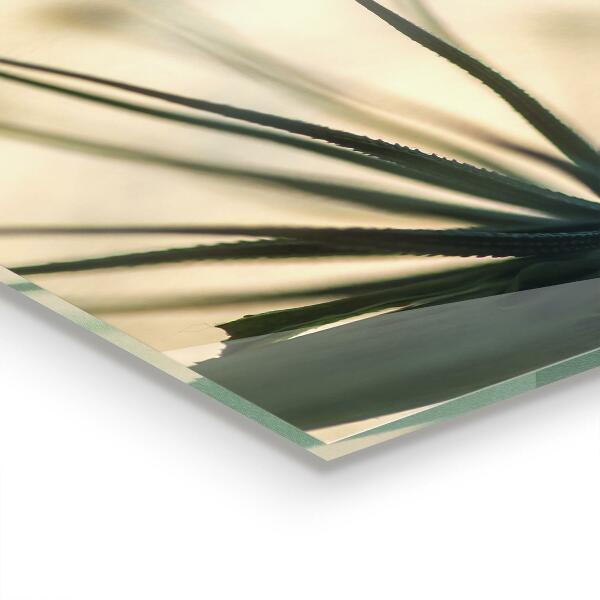 Stenska plošča za kuhinjo Čudovit nežen regrat