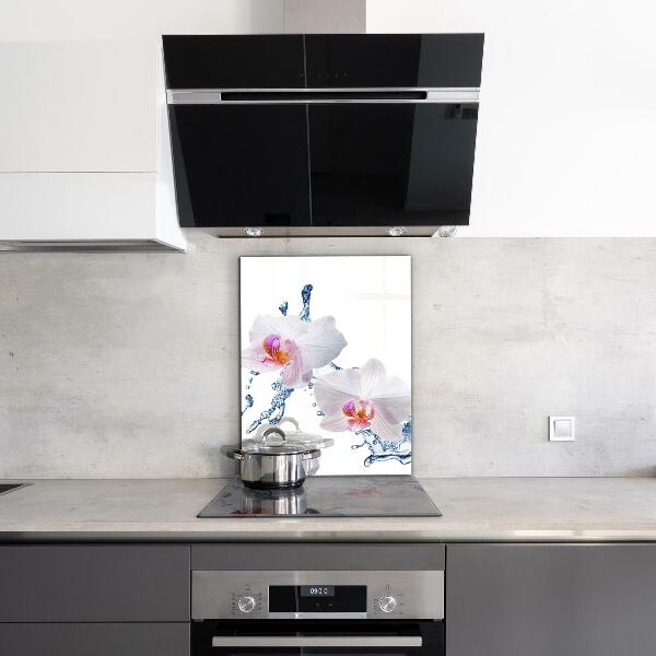 Stenska plošča za kuhinjo Orhideja, poškropljena z vodo