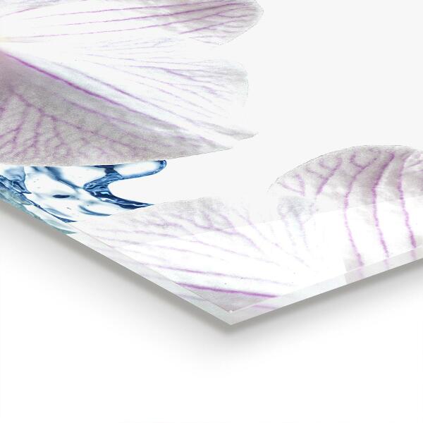 Stenska plošča za kuhinjo Orhideja, poškropljena z vodo