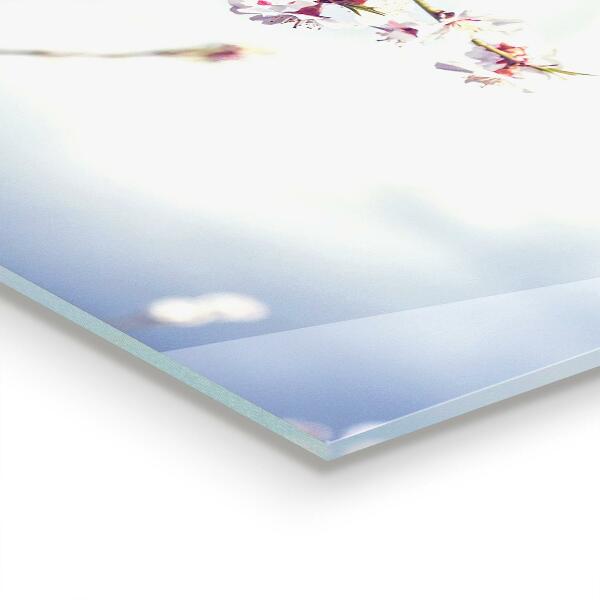 Stenska plošča za kuhinjo Nežni rožnati cvetovi