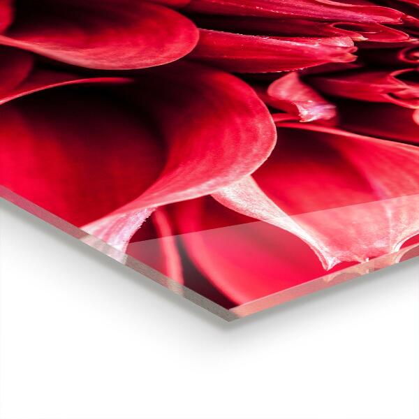 Stenska plošča za kuhinjo Energijska cvetna moč narave