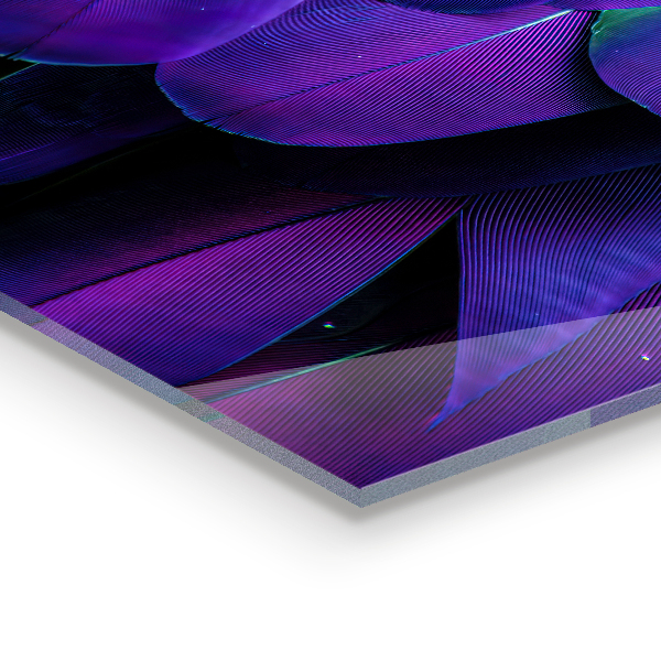 Stenska plošča za kuhinjo Eksotična ptičja perja