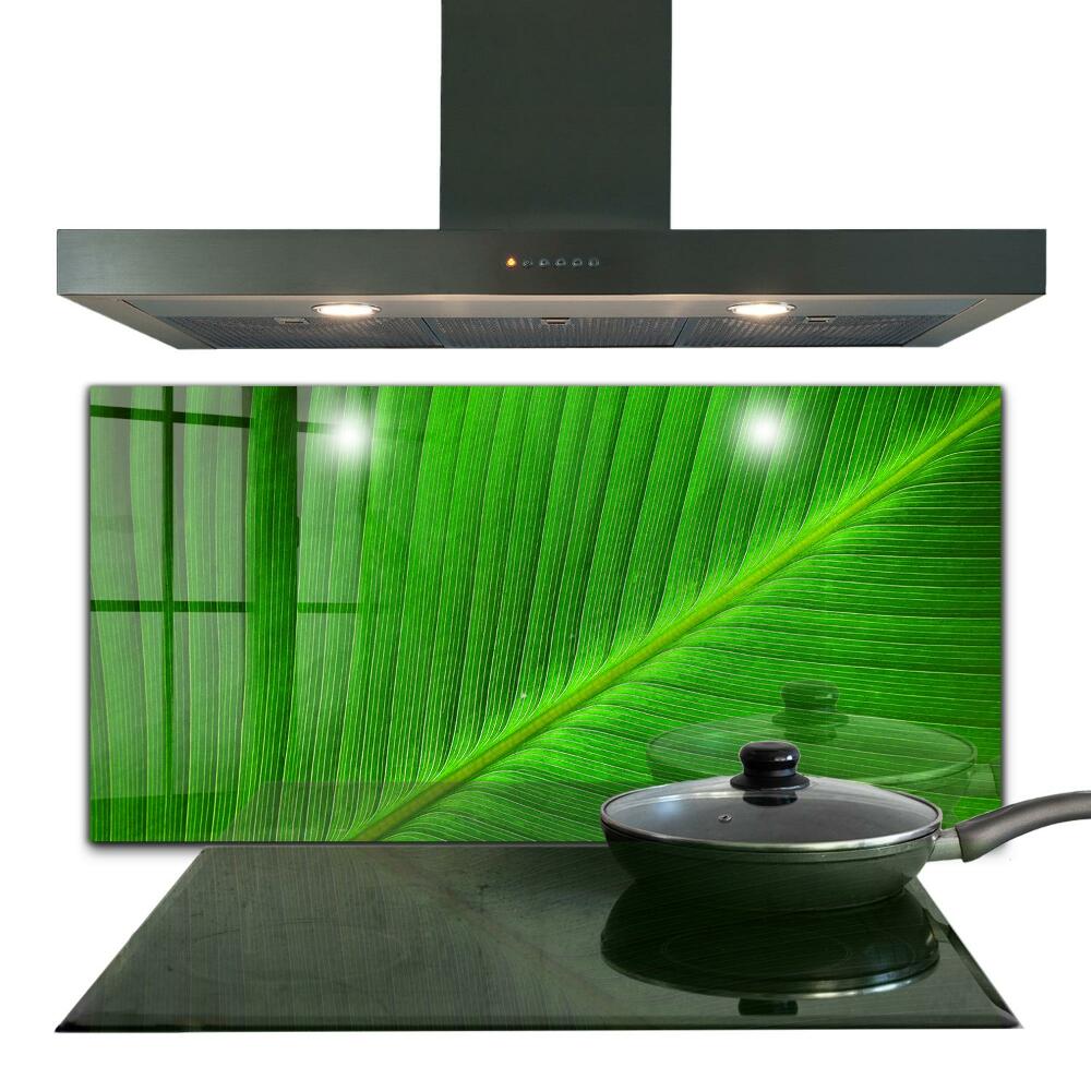 Stenska plošča za kuhinjo Tropski palmov list