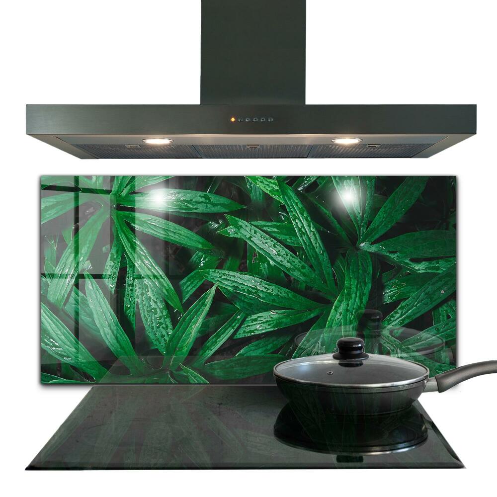 Stenska plošča za kuhinjo Eksotični listi džungle
