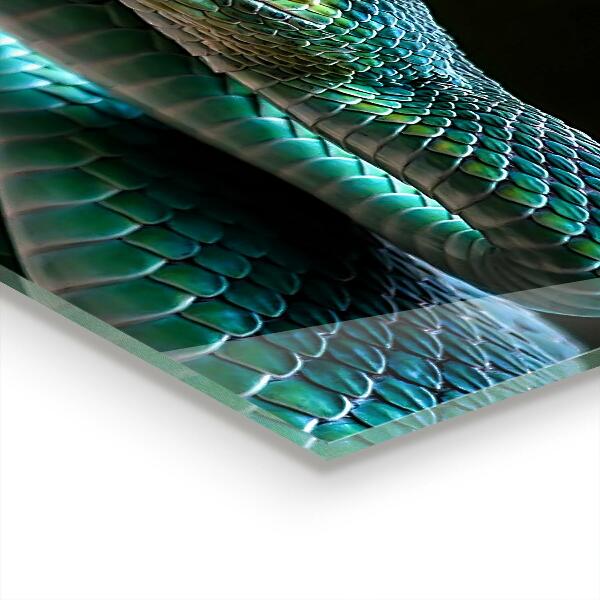 Stenska plošča za kuhinjo Kača divje živali