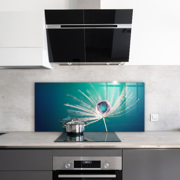 Stenska plošča za kuhinjo Regrat z rosno kapljico