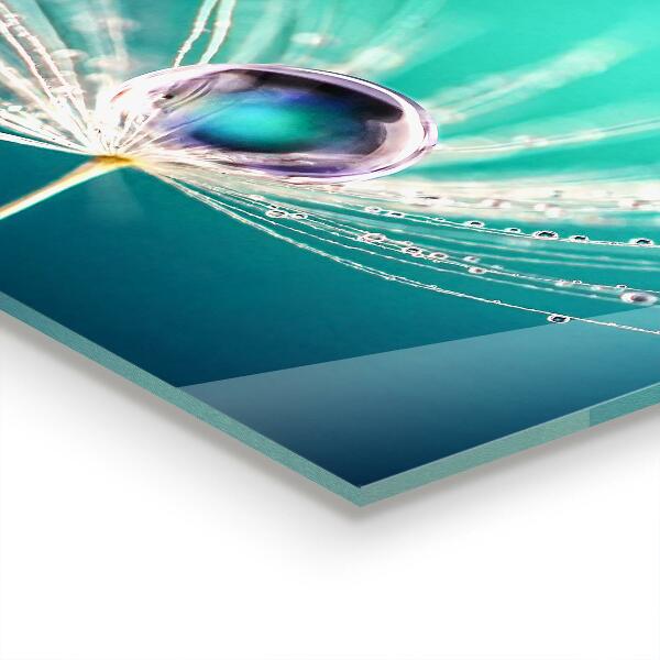 Stenska plošča za kuhinjo Regrat z rosno kapljico