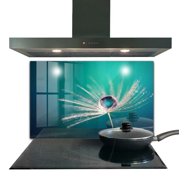 Stenska plošča za kuhinjo Regrat z rosno kapljico