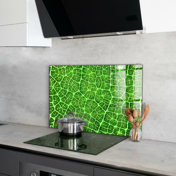 Stenska plošča za kuhinjo Moč zelene botanike