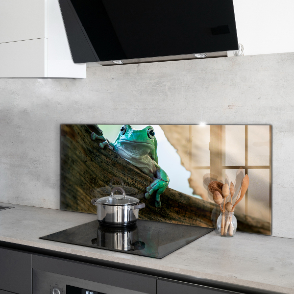 Stenska plošča za kuhinjo Portret afriške žabe