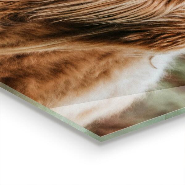 Stenska plošča za kuhinjo Krava v stilu highland cottage