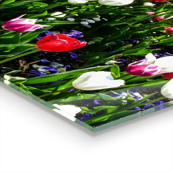 Stenska plošča za kuhinjo Travniške poletne rože