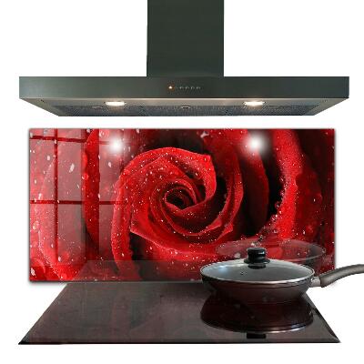 Zidna obloga za kuhinju Kaplje rose na rdeči vrtnici