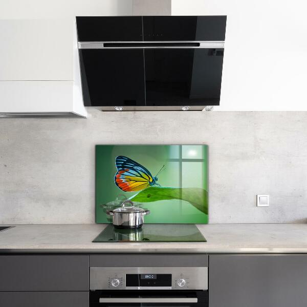 Stenska plošča za kuhinjo Metulj počiva na listu