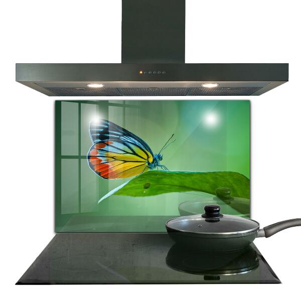 Stenska plošča za kuhinjo Metulj počiva na listu